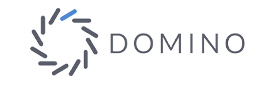 Domino Data Labs
